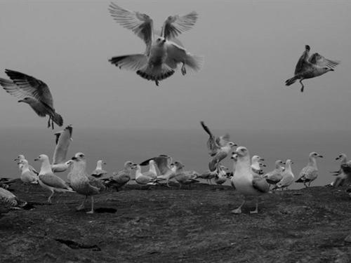 Hotel Oakleigh House Blackpool Camera foto